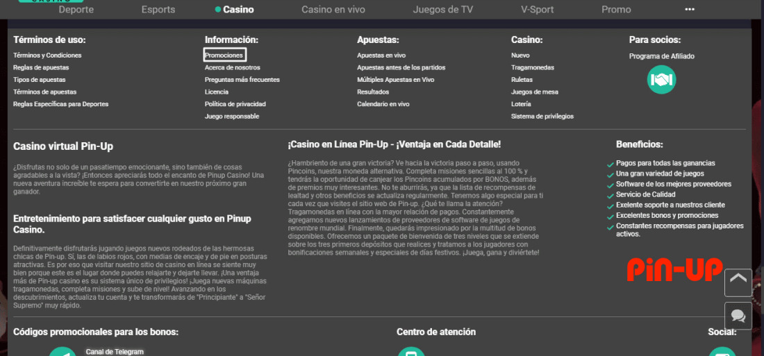 enlace a bonos y promociones