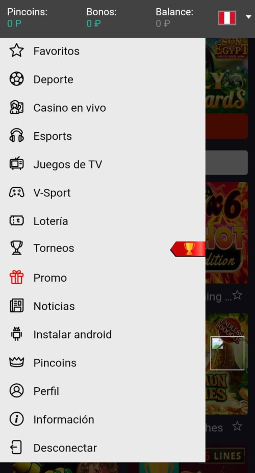 menú en el programa